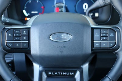 2025 Ford F-250SD Platinum