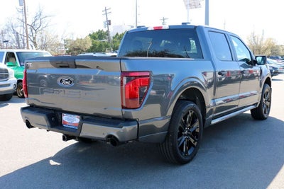 2026 Ford F-150 STX LOBO