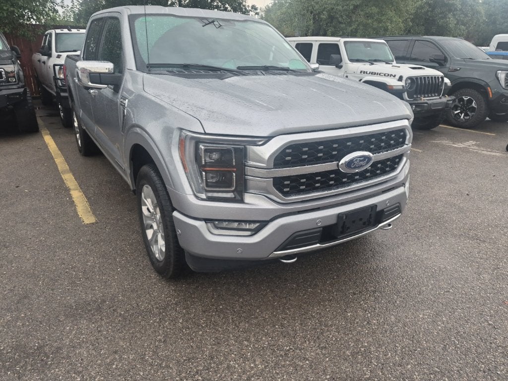 2023 Ford F-150 Platinum