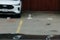 2026 Ford F-150 Lariat Hennessey Venom 800
