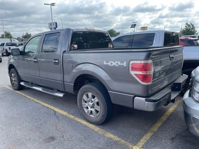 2009 Ford F-150 XL