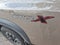 2024 Nissan Frontier PRO-X