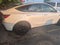 2026 Tesla Model Y Base