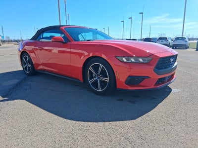 2025 Ford Mustang EcoBoost Premium