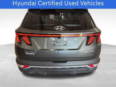 2024 Hyundai Tucson Hybrid SEL Convenience